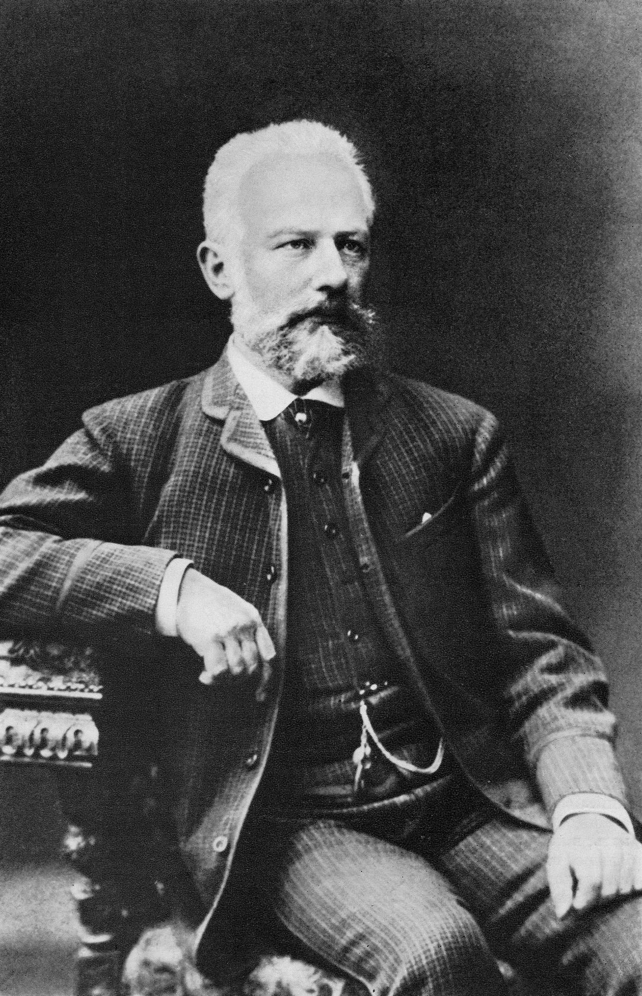 Peter Tchaikovsky Composer MariinskyKirov Peter Tchaikovsky Composer MariinskyKirov